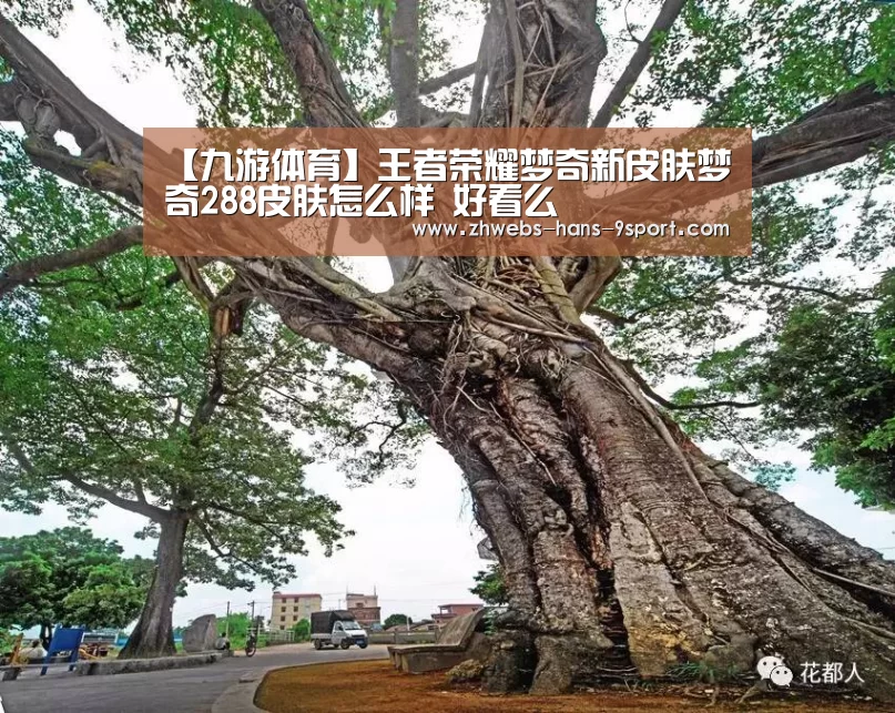 【九游体育】王者荣耀梦奇新皮肤梦奇288皮肤怎么样 好看么(图3) 九游体育