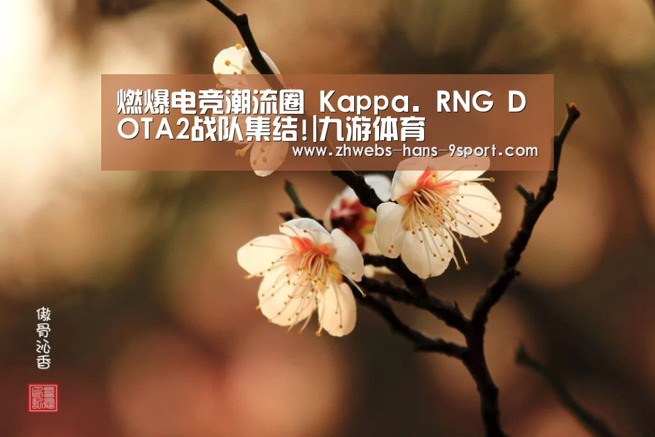 燃爆电竞潮流圈 Kappa. RNG DOTA2战队集结!|九游体育(图2) 九游体育