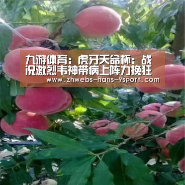 九游体育