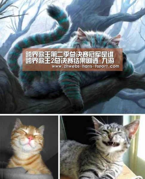 跨界歌王第二季总决赛冠军是谁 跨界歌王2总决赛结果剧透_九游体育(图2) 九游体育